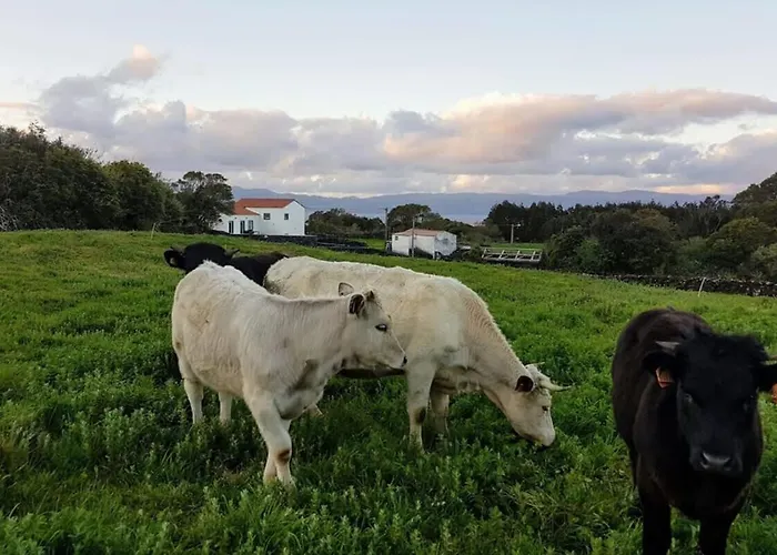 Liiiving In Acores - Ocean View House * Canto da Areia